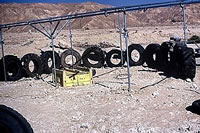 birds, birdwatching, Israel, birding tours, Eilat